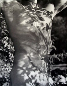 Image description is not available for 1996.029